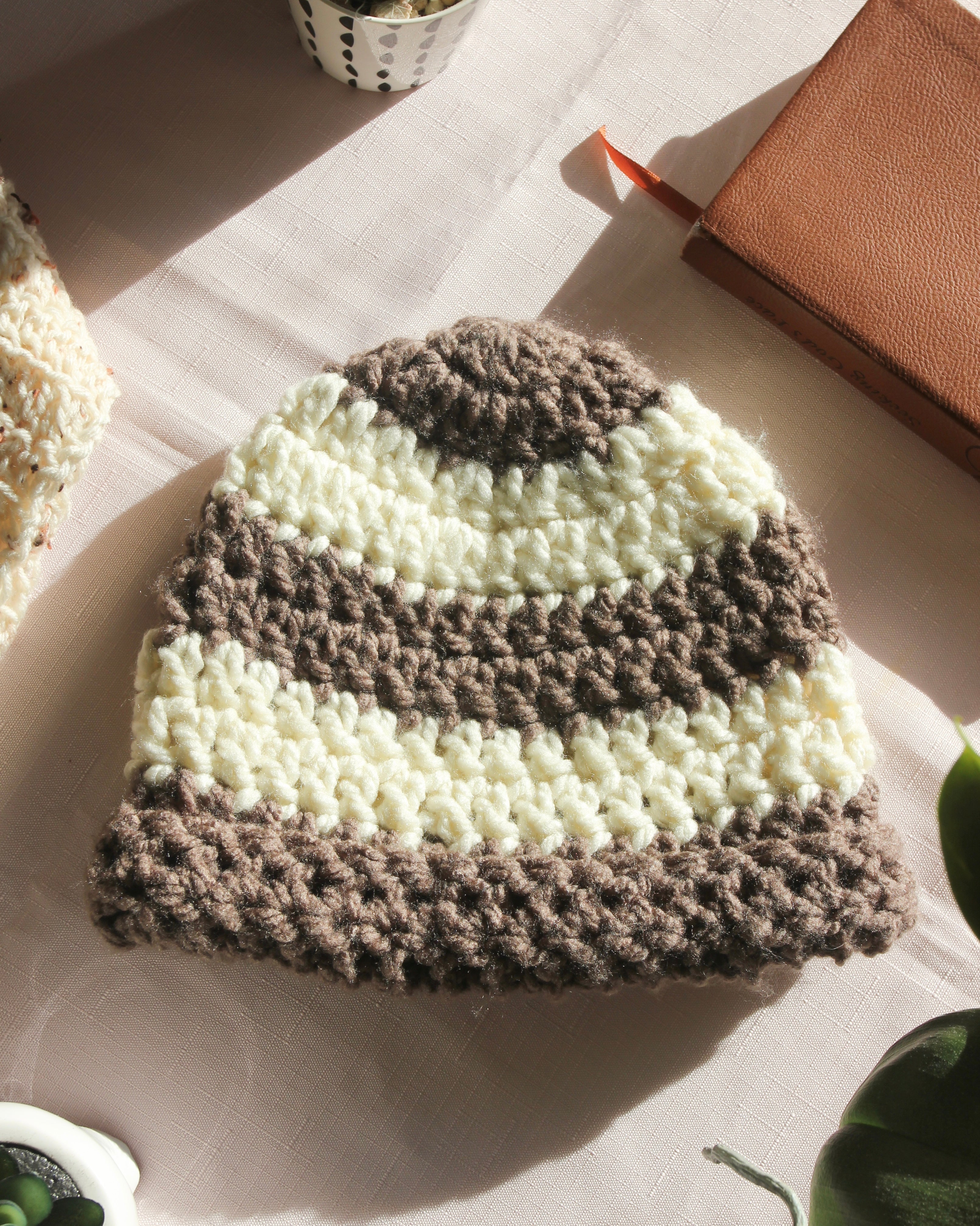 Teddy Beanie